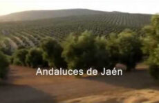 Andaluces de Jaén - Himno Oficial de la Provincia de Jaén